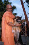 swamiji_taming_dog.jpg (66309 bytes)