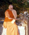 swamiji_with_monkey.jpg (88423 bytes)