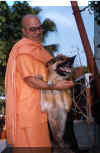 swamiji_taming_dog.jpg (66309 bytes)